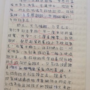 篮球训练感想4000字内容